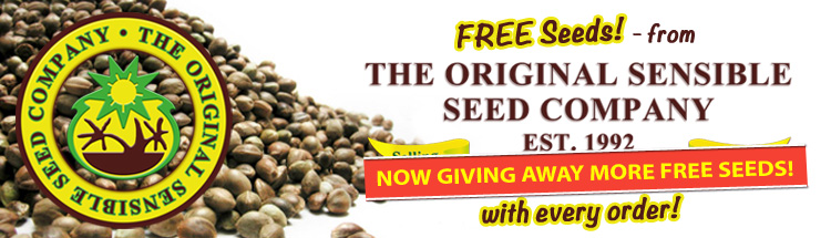 Buy Cannabis Seeds Here - Best Online Prices - Free Cannabis Seeds USA Worldwide Shipping