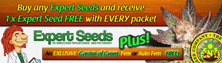 Free Cannabis Seeds USA - Buy Expert Seeds Here.