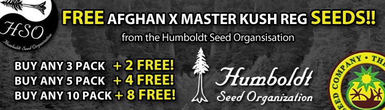 The Humboldt Lost Coast Og Kush Cannabis Seeds Offer is no longer available - Click here for latest Cannabis Seeds Deals 