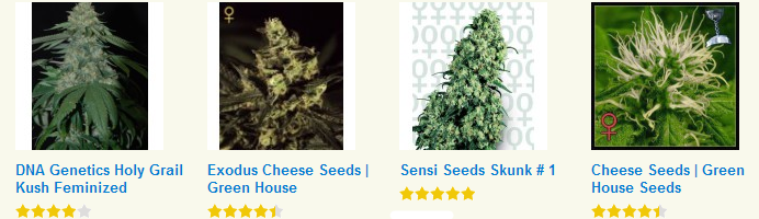 Best Cannabis Seeds 2014 Hybrid Collection