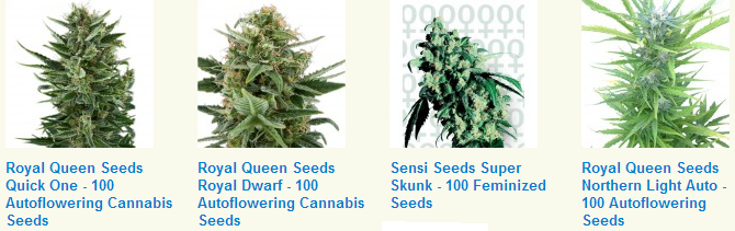 Arizona Marijuana Seeds