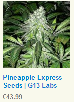 Buy G13 Labs Pineapple Express