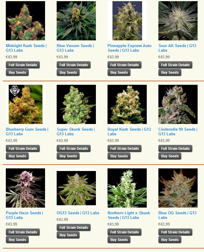 G13 Labs Cannabis Seeds