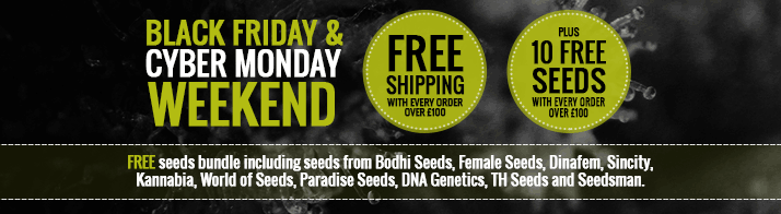 Black Fiday Offers from Seedsman