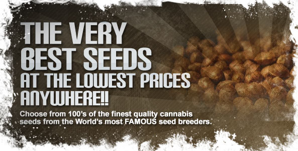 Auto Seeds Collection