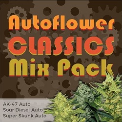 Autoflower Seeds Classic Mix