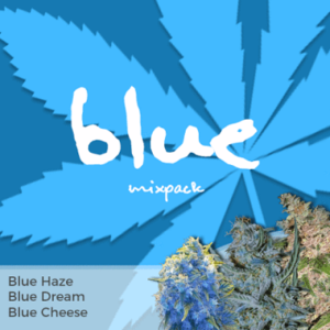 Blue Mixpack Cannabis Seeds