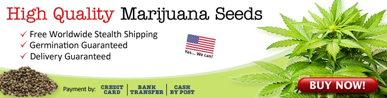 USA Cannabis Seeds For Sale