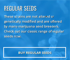 Buy Regular Seeds