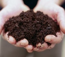 Cannabis Growing Mistakes - Soil Fertilizers