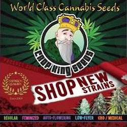 Crop King Cannabis Seeds USA