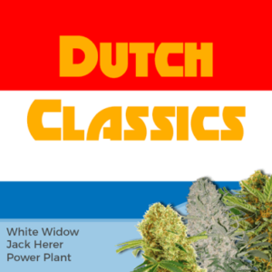Dutch Classics Mixpack Cannabis Seeds