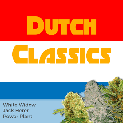 Dutch Classics Mixpack