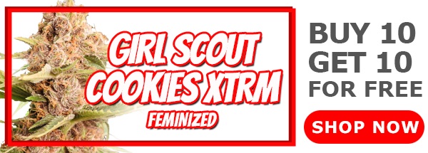 Girl Scout Cookies Extreme Feminized Seeds Offer