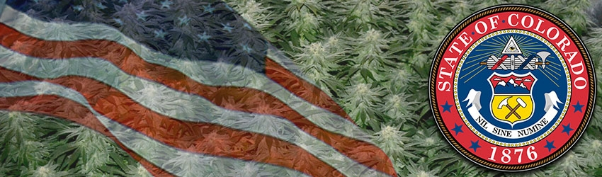 Growing Marijuana In Colorado