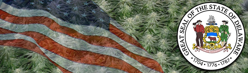 Growing Marijuana In Delaware