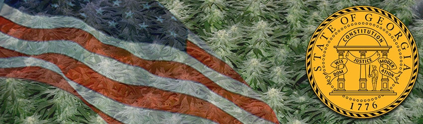 Growing Marijuana In Georgia