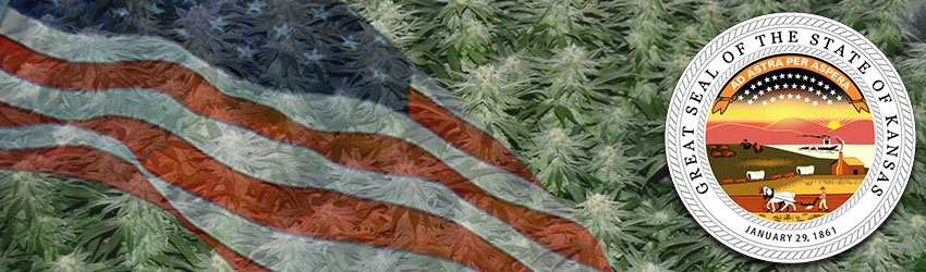Growing Marijuana In Kansas