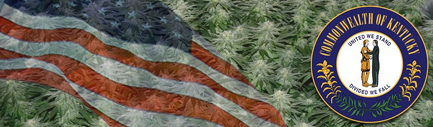 Growing Marijuana In Kentucky
