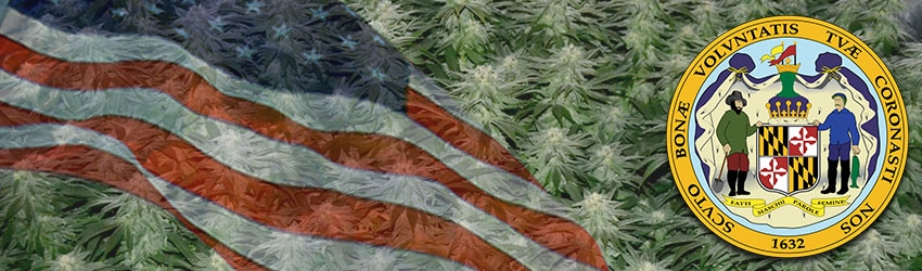 Growing Marijuana In Maryland