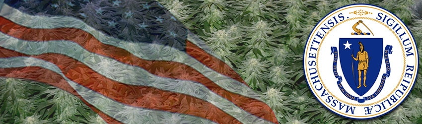 Growing Marijuana In Massachusetts