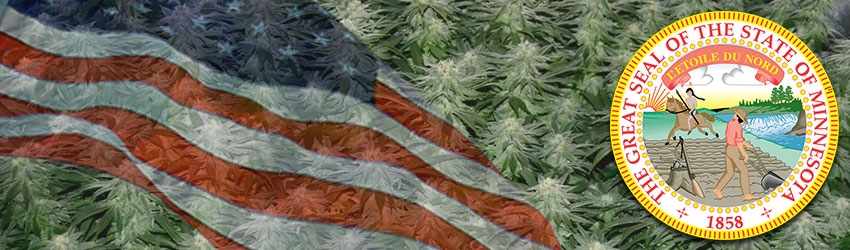 Growing Marijuana In Minnesota