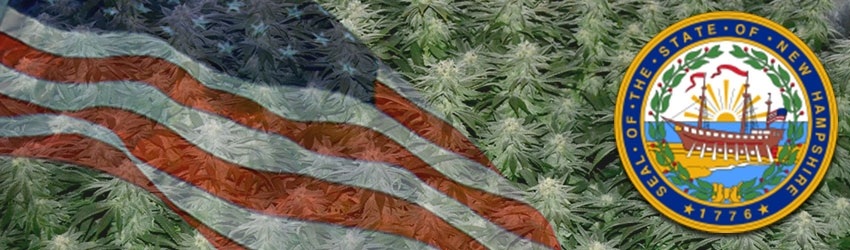 Growing Marijuana In New Hampshire