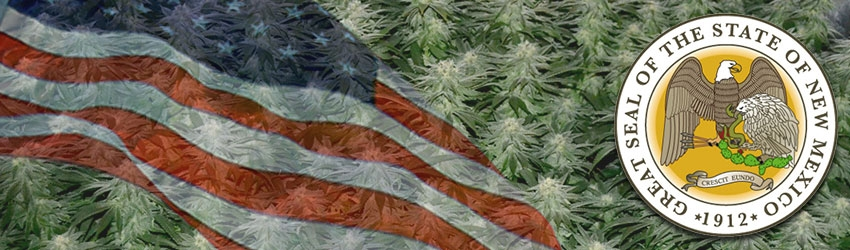 Growing Marijuana In New Mexico