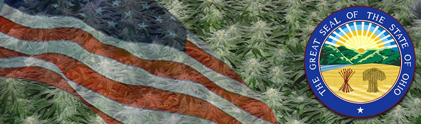 Growing Marijuana In Ohio
