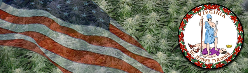 Growing Marijuana In Virginia