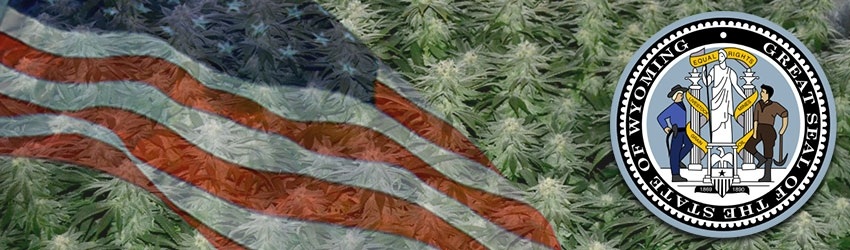 Growing Marijuana In Wyoming