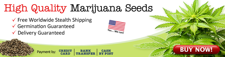 Buy Cannabis Seeds Here - Best Online Prices - Free USA Guaranteed Shipping