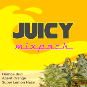 Juicy Mixpack Cannabis Seeds
