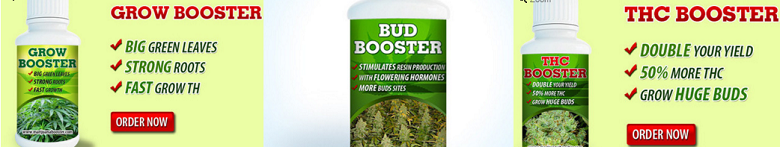 Marijuana Boosters Included In The White Widow Grow Kit
