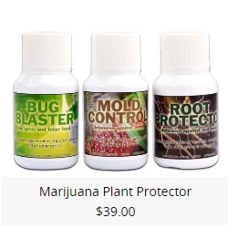 Marijuana Plant Protection