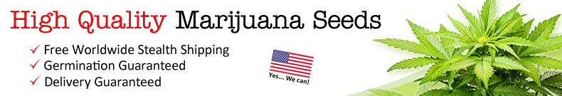 Marijuana Seeds To The USA