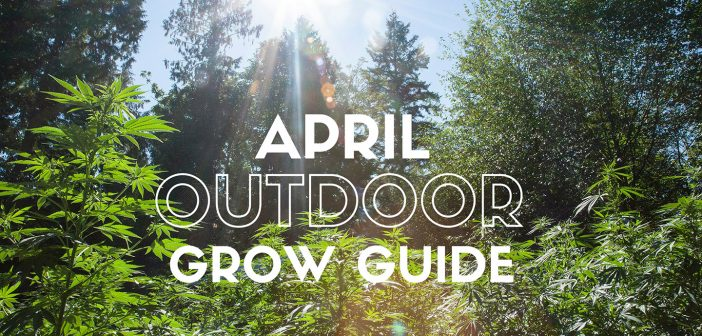 Outdoor Growing Guide For April