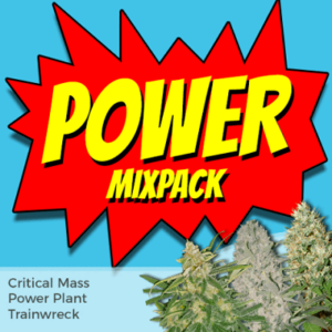 Power Mixpack Cannabis Seeds
