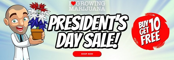 Presidents Day Sale - Buy 10 Get 10 Free Cannabis Seeds