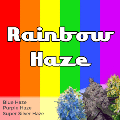 Rainbow Haze Mixpack