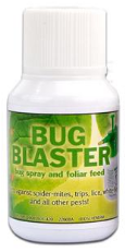 Stop Spider Mite With Bug Blaster