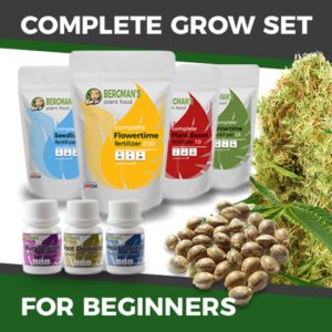 The Complete Beginners Cannabis Seeds Grow Set