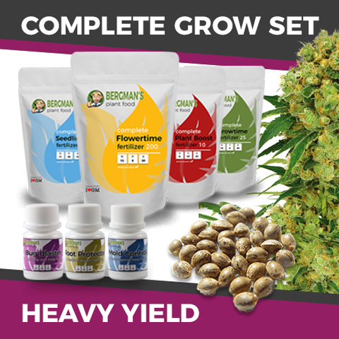 The Complete High Yield Cannabis Seeds Grow Set