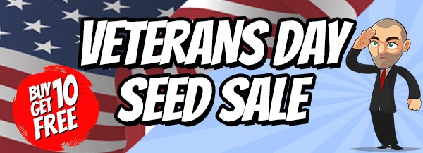 Veterans Day Free Seeds Offer