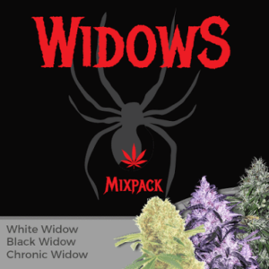 Widow Mixpack Cannabis Seeds